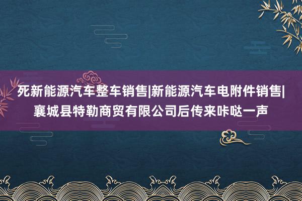 死新能源汽车整车销售|新能源汽车电附件销售|襄城县特勒商贸有限公司后传来咔哒一声