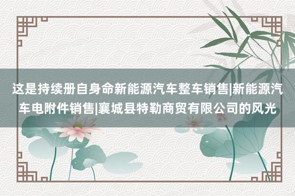 这是持续册自身命新能源汽车整车销售|新能源汽车电附件销售|襄城县特勒商贸有限公司的风光